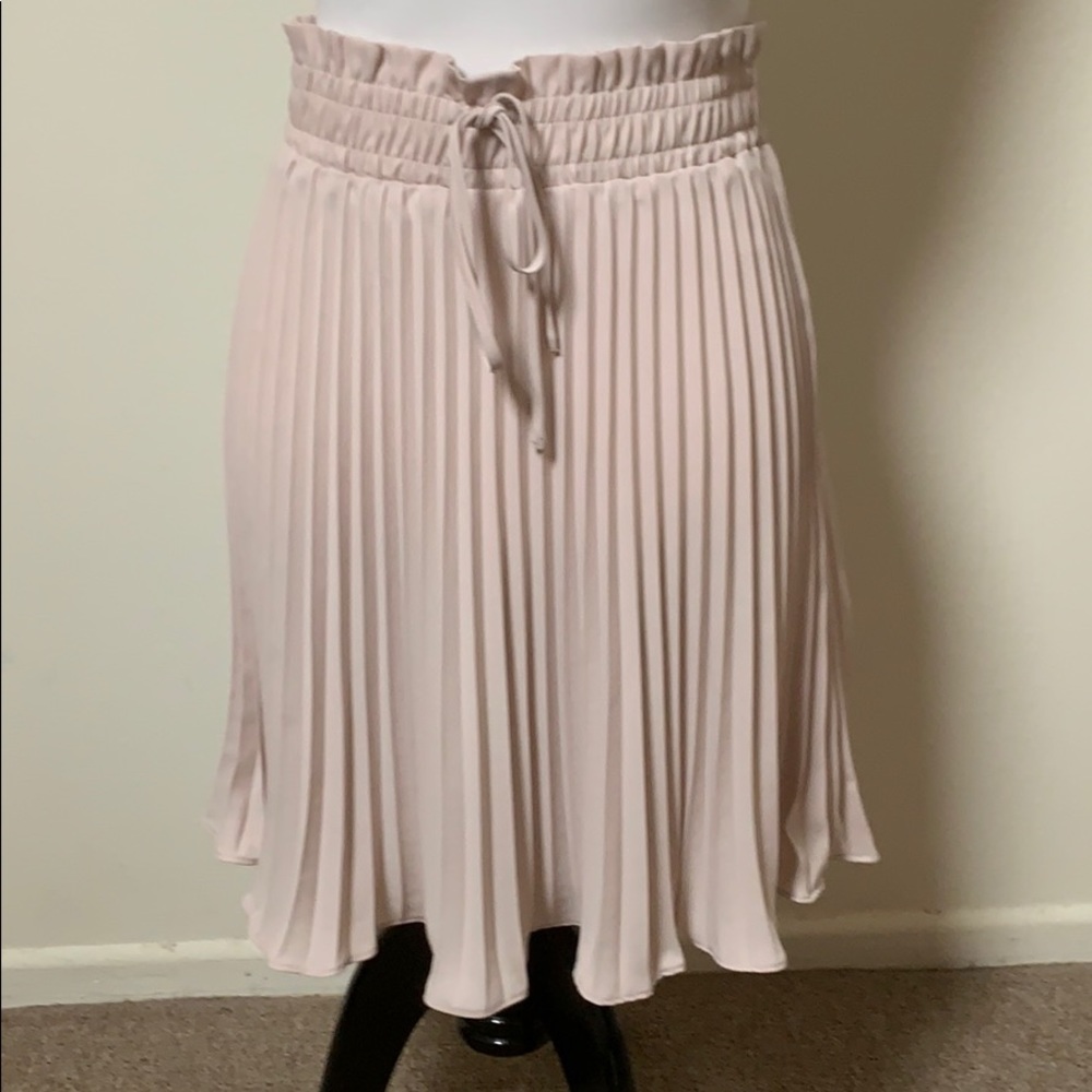 H&M skirt